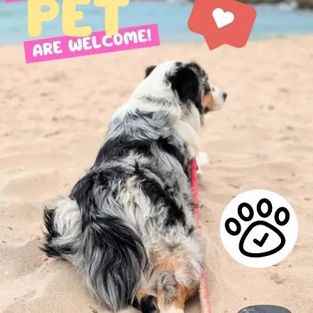 We Host * Costa da Caparica